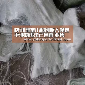快讯|雅堂小超创始人杨定平涉嫌违法已自首|亚博(图1) 亚博体育