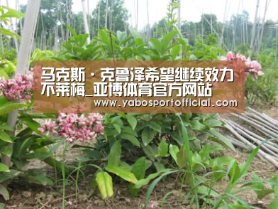 马克斯·克鲁泽希望继续效力不莱梅_亚博体育官方网站(图1) 亚博