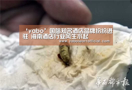 ‘yabo’国际知名酒店品牌纷纷进驻 海南酒店行业风生水起(图3) 亚博