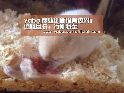 亚博体育